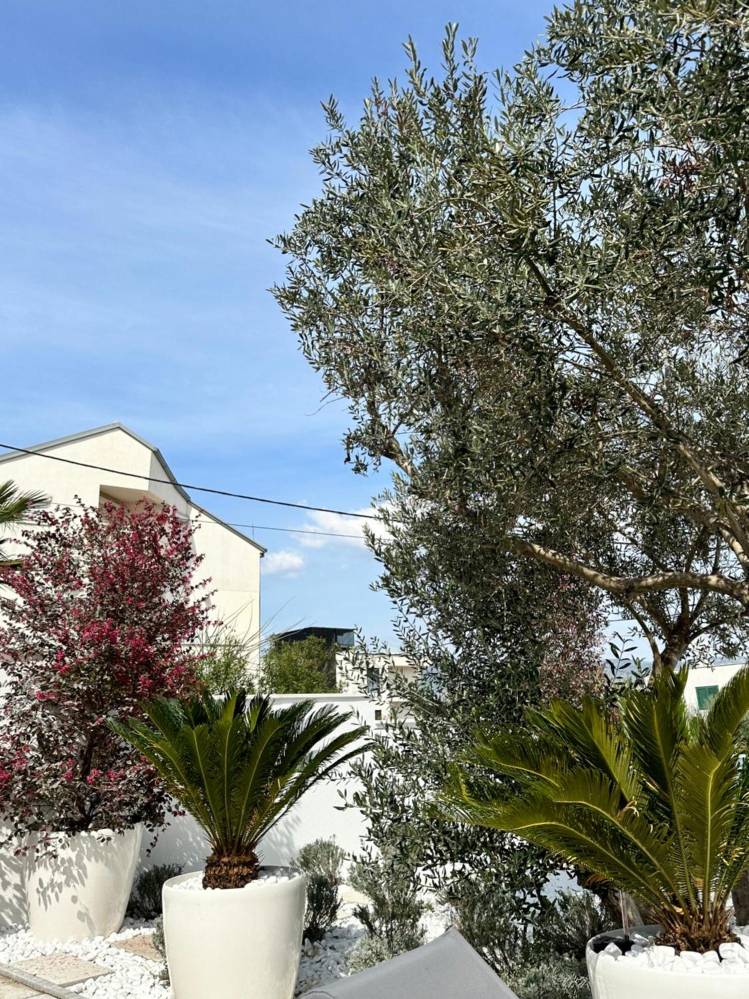 Apartments Marina Trogir Exterior foto